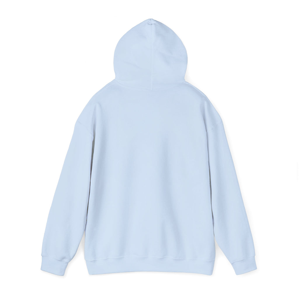 'LA CHANCLA' va volando Unisex Heavy Blend™ Hooded Sweatshirt